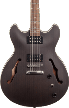 hollow body type electric guitar